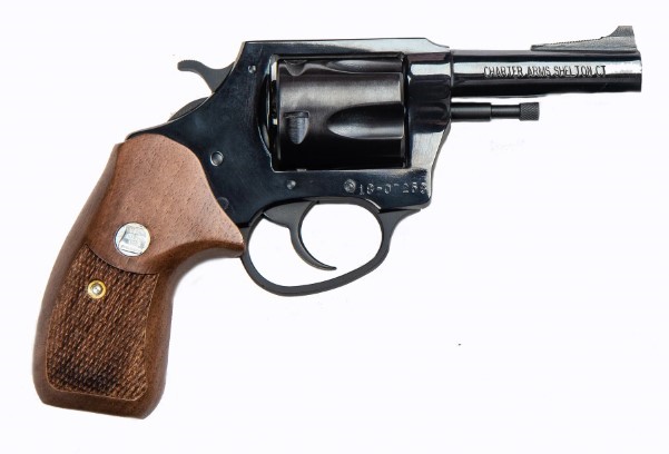 CHARTER ARMS CLASSIC BULLDOG .44 SPL. LARGE 5 SHOT 3IN FIXED STANDARD COLOR CASED BLUED 34431 - Smith Savings Week